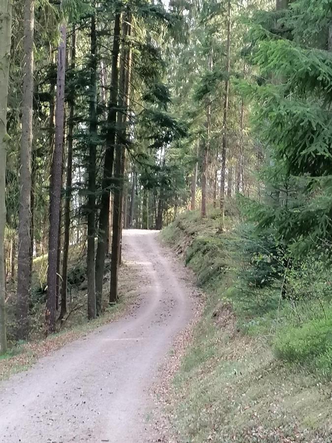 In Neunburg V. Wald Apartment