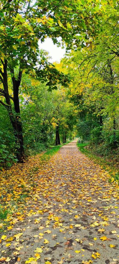 In Neunburg V. Wald *